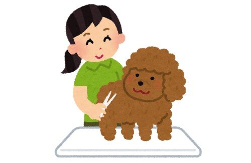 2020y11m10d_114709746