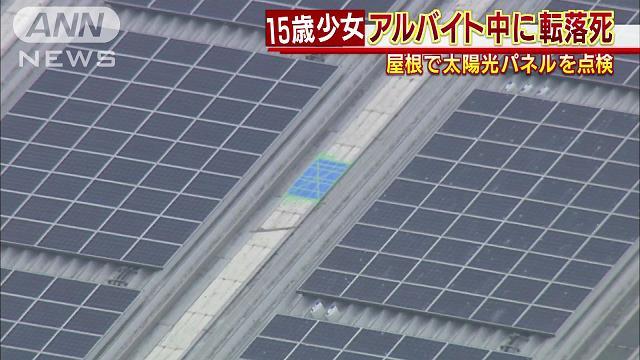 引用画像