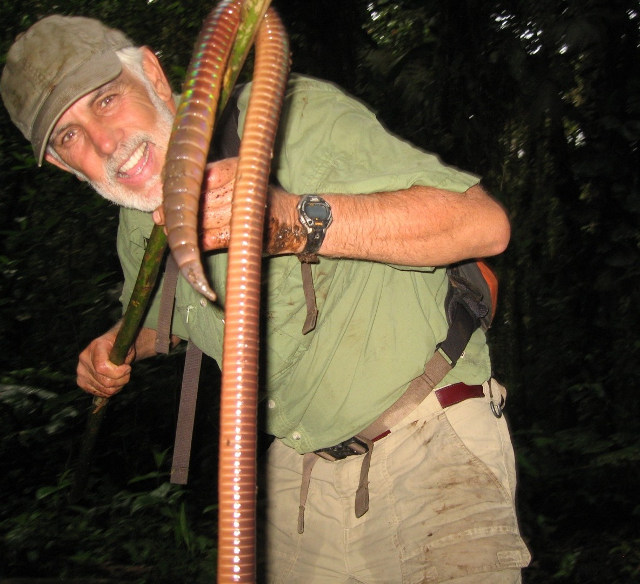 giant-worm-3