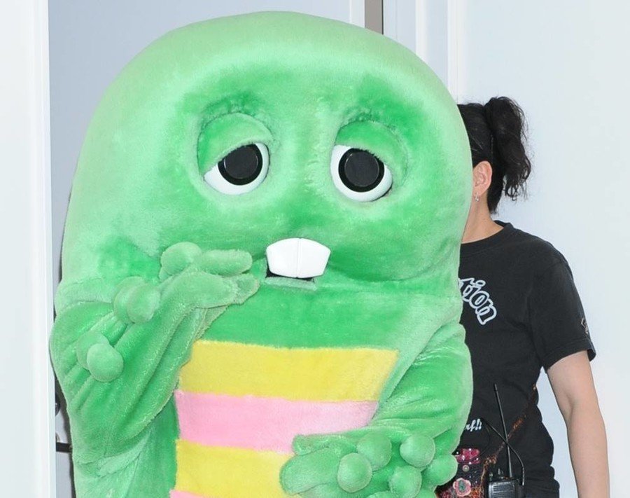 引用画像