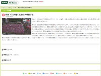 名称未設定 15
