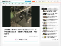 4t89ewa894t489a