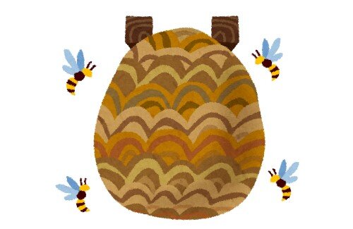 2020y11m26d_061522238