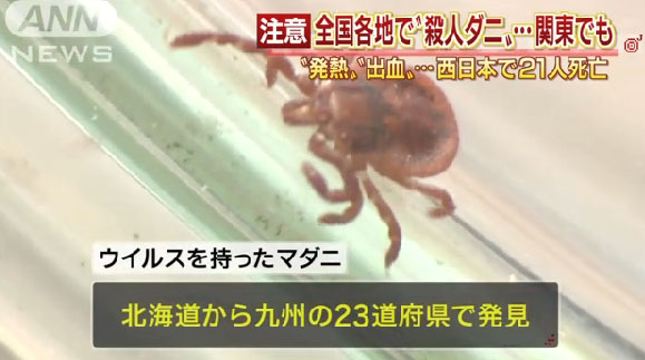 名称未設定 13