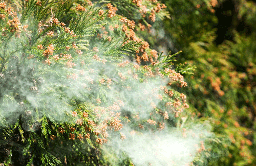 名称未設定-1-復元-復元-復元-復元