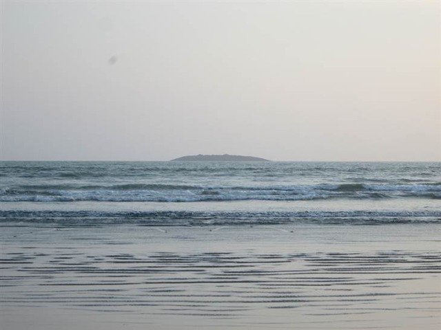 55459376-s