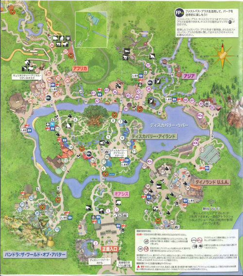 20190314_animalkingdom