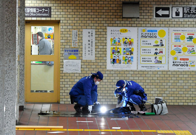 引用画像