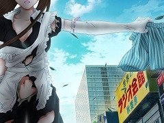 引用画像