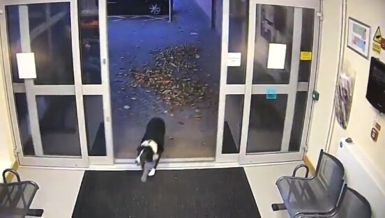 2022y11m20d_112625298