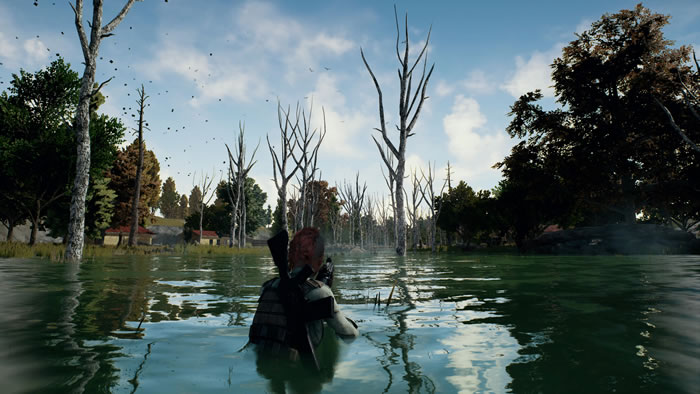 引用画像