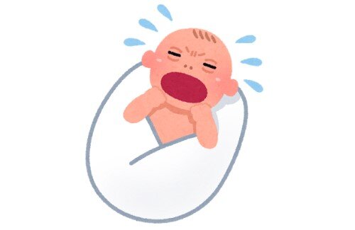 2020y12m29d_062441806