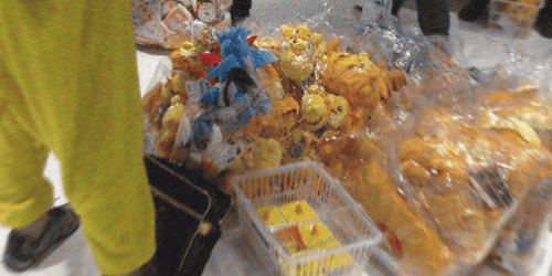 pokemon-center-tenbai-mega