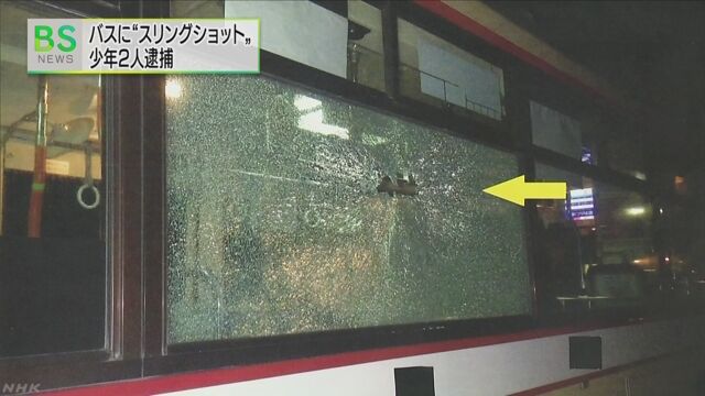 引用画像