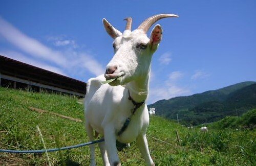 2021y01m19d_060504184