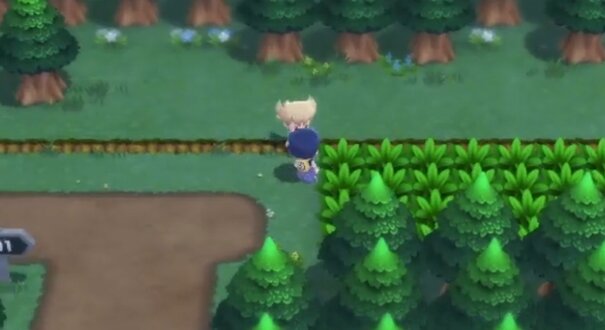 きょうのバグ技 ポケモン ダイパリメイク で今度はライバルを使ったバグ移動が発覚ｗｗｗｗ 人気の アプリ コミック にどっぷりハマって暇なし生活