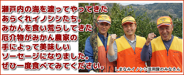 katsudoubutai.jpg