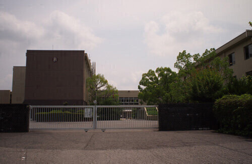f228ef42.jpg
