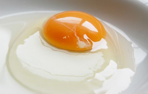 adtDSC_21592-750x499