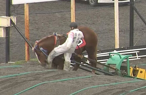 【炎上】馬の顔を蹴ったばんえい競馬騎手、約9年前に暴行容疑で逮捕されていた!顎の骨が折れた同僚を突き飛ばした疑い