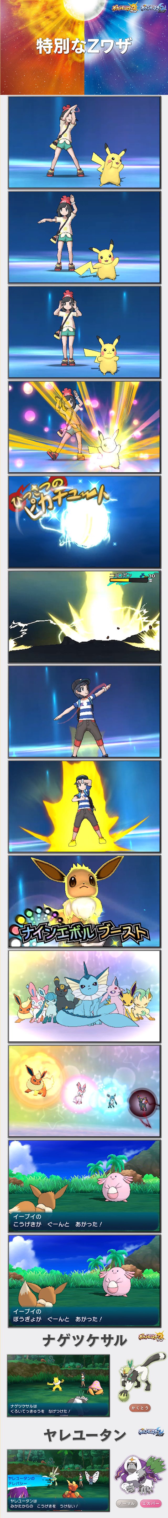 bbb.jpg