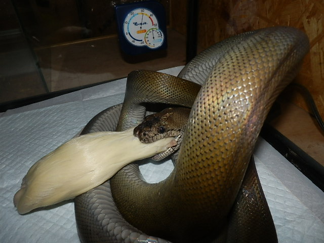 20120829_82095