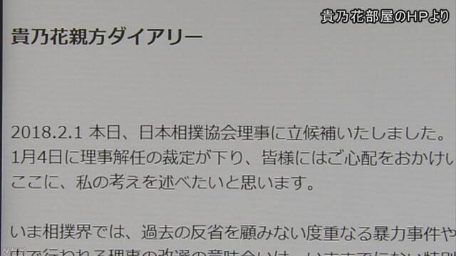 引用画像