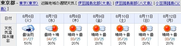 2013y08m05d_175553077