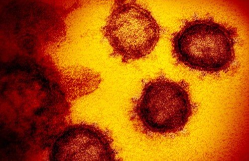 2021y01m02d_071306601