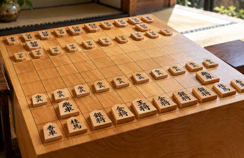西山朋佳さん、新制度により将棋界初「女性棋士」の権利を獲得！ → 女子枠だと叩かれてしまう