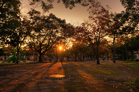 夕方の公園