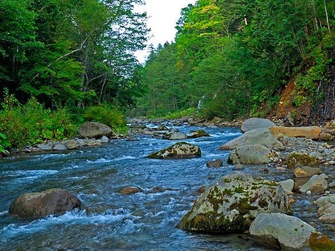 川の上流