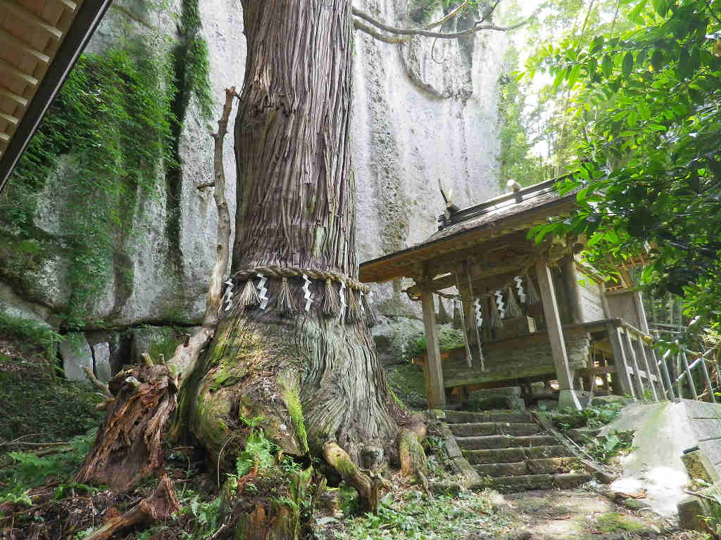 本当にあった2chの怖い話 【オカルト】呪い返しの御神木