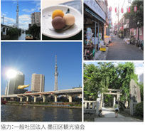 �����仺�����ͥĥ���Ÿ������ץ�꡼�����ϤǤ���