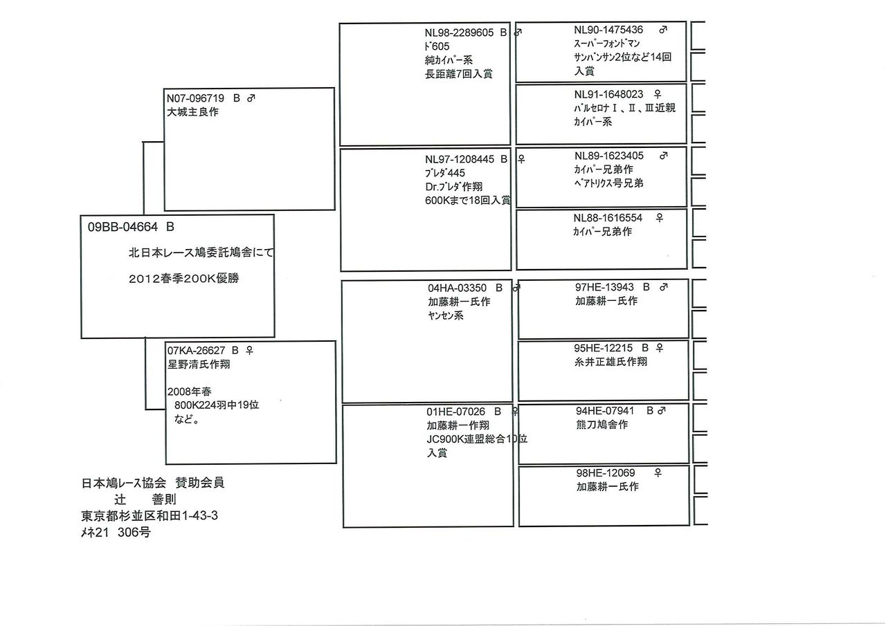 優勝鳩血統書 北日本レース鳩委託鳩舎ブログ 優勝鳩血統書 北日本レース鳩委託鳩舎ブログ