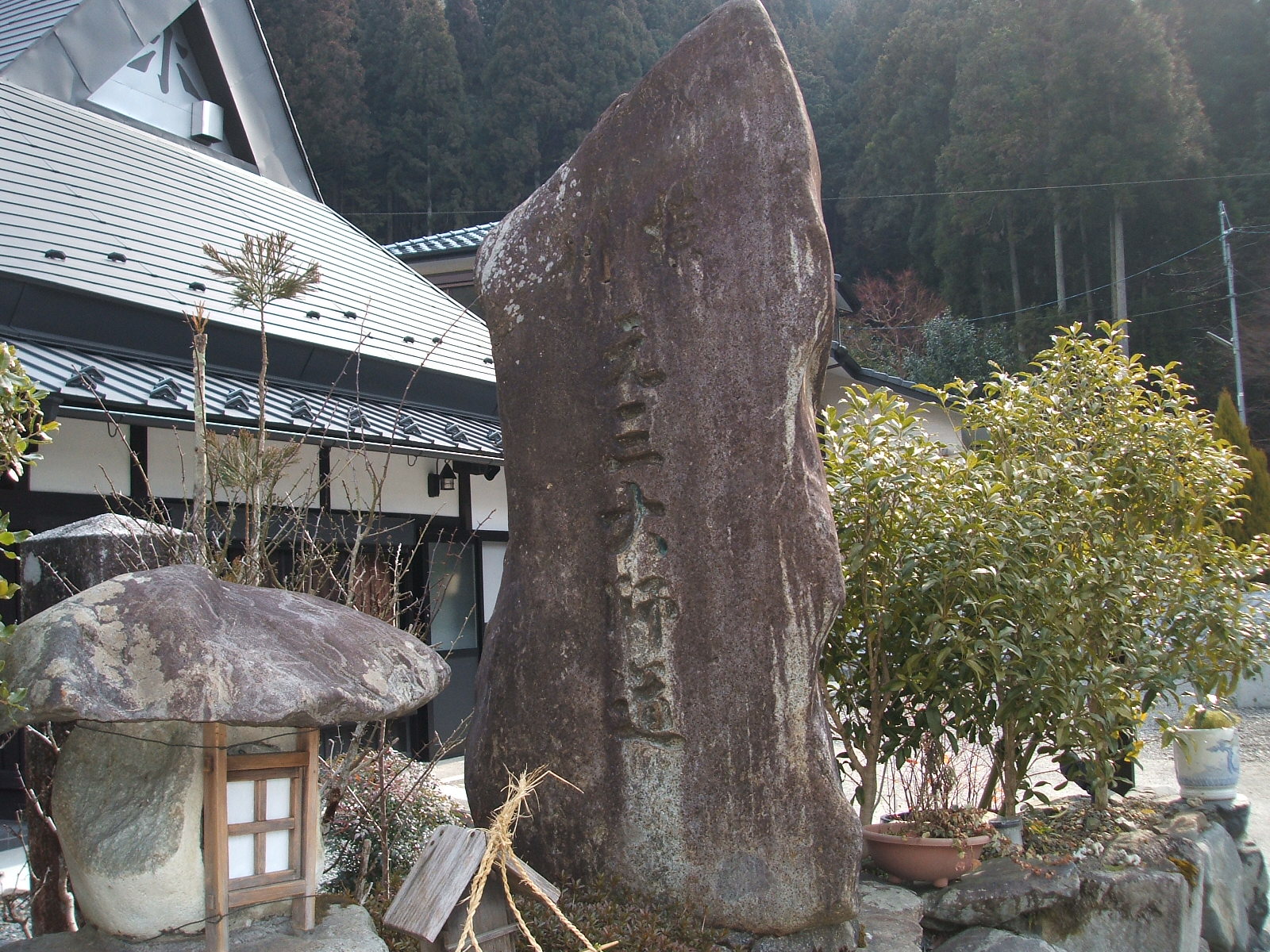 ぽっぽのつぶやき                hato_hatopop