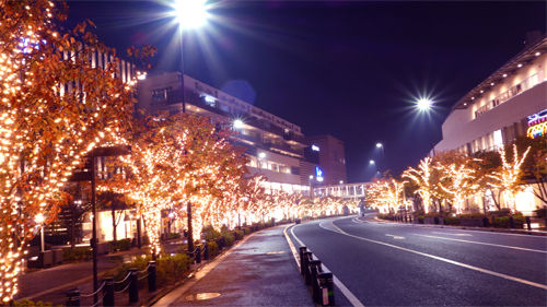 DSC04102