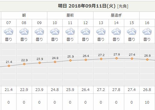 本日の敦賀合同訓練持寄り Gpsと鳩馴致 本日の敦賀合同訓練持寄り Gpsと鳩馴致