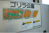 097f5377.jpg