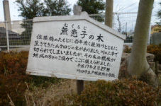 川口 戸塚地区 １ ママチャリで行こう ハト豆ねっと 鳩ヶ谷地域の情報満載