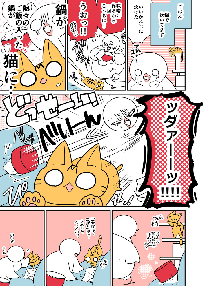 ほぼ毎日はとにっき6