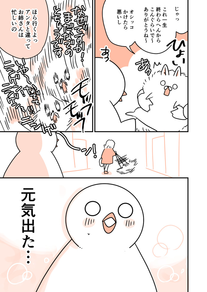 ほぼ毎日はとにっき20230204_005