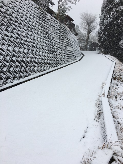 7C0830F3-9AEE-43FD-BD07-1F52828411BD