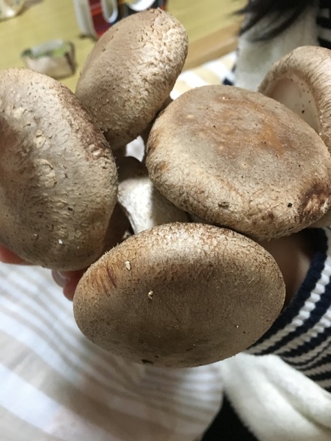 E2C2F3F6-D9D4-4D38-B4AE-AAFB7FDE384C