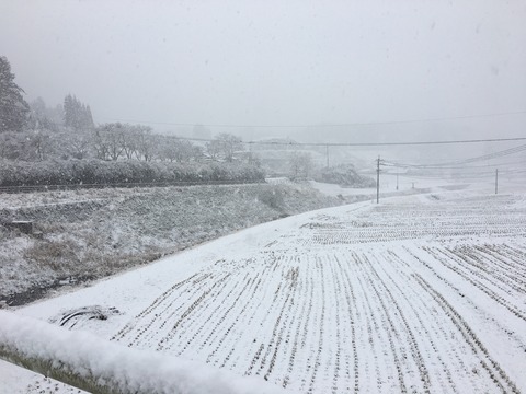 CABDD682-B0F3-455B-A65D-465048CCA9D2