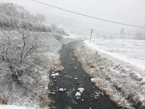 1559D974-E82B-4DB3-996F-16774CB193C8