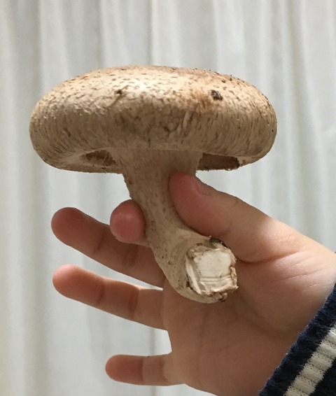 5343ECB7-AEF9-4CEA-B669-1895A5D60DF0