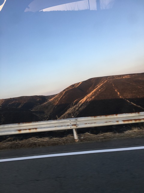 55F90395-BE1C-4B3D-AA0B-54EF74DB33D0