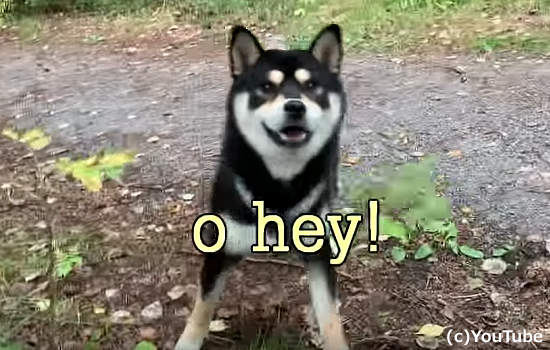 58