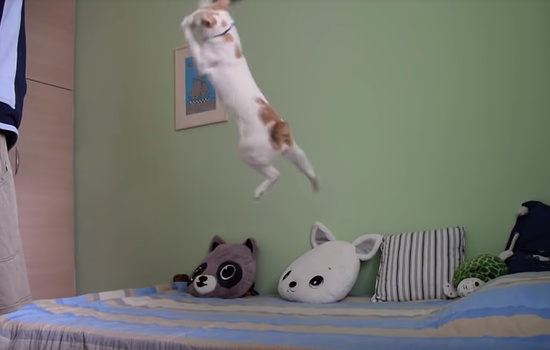 176